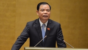 Vì sao rừng tự nhiên của Việt Nam ít hơn Campuchia, Lào?