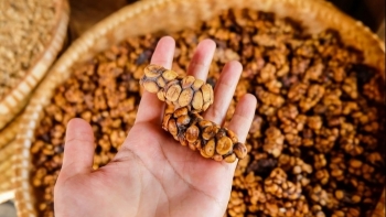 Xuất khẩu cà phê tháng 10/2020 đạt hơn 90 nghìn tấn