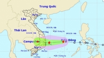 Bão số 12 đổ bộ, nhiều tỉnh oằn mình chống đỡ
