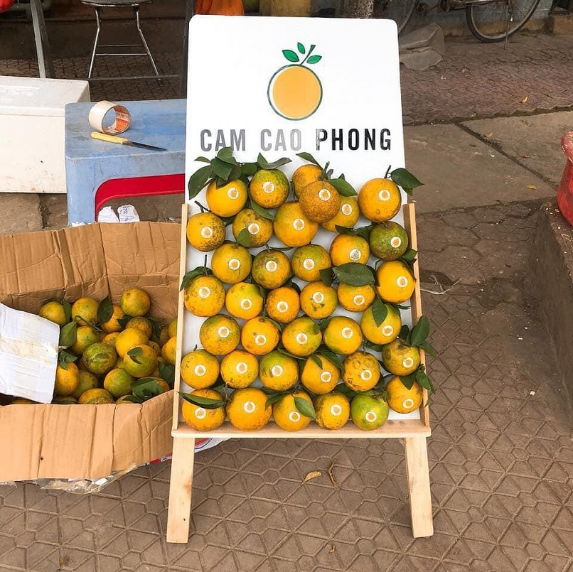 Hà Tĩnh: Đề xuất bổ sung quy hoạch 2 dự án điện gió 21.100 tỷ đồng Hà Tĩnh: Đề xuất bổ sung quy hoạch 2 dự án điện gió 21.100 tỷ đồng