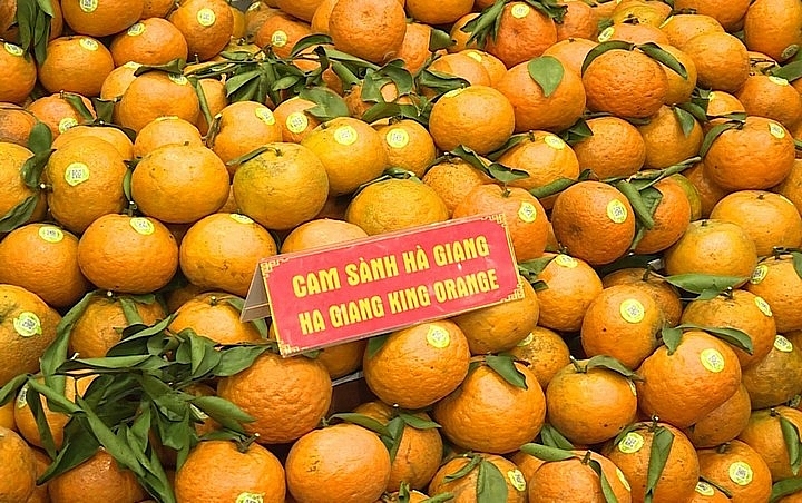 Hà Tĩnh: Đề xuất bổ sung quy hoạch 2 dự án điện gió 21.100 tỷ đồng Hà Tĩnh: Đề xuất bổ sung quy hoạch 2 dự án điện gió 21.100 tỷ đồng