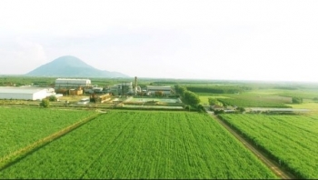 Hút đầu tư vào nông nghiệp Tây Ninh