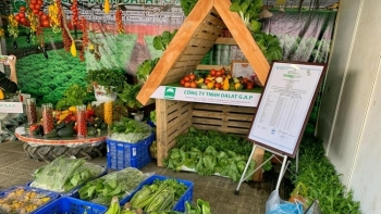 Khai mạc phiên chợ “Tuần nông sản an toàn thực phẩm năm 2020” tại Đà Lạt