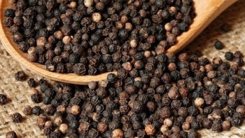 Giá hồ tiêu hôm nay 15/11: Gần tới mốc 60.000 đồng/kg