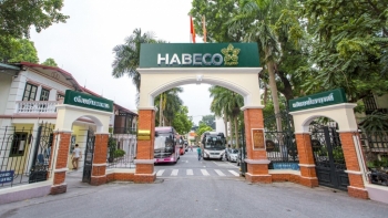 Habeco báo lãi quý III hơn 340 tỷ đồng