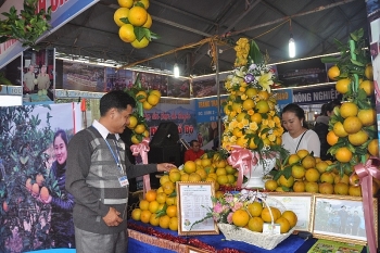 Chuẩn bị diễn ra Lễ hội Cam và các sản phẩm nông nghiệp Hà Tĩnh