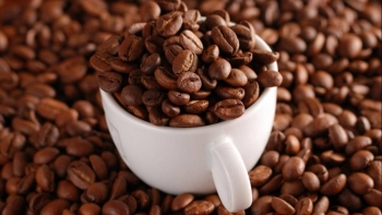 Giá cà phê hôm nay 17/11: Tăng mạnh