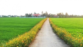 Nghệ An phê duyệt Chương trình Khuyến nông giai đoạn 2021 – 2025