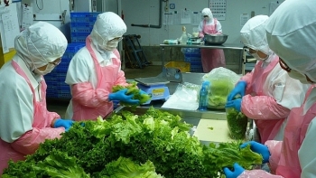 Đặt mục tiêu đưa tỉ lệ rau quả chế biến lên 30%