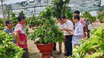 TP Hồ Chí Minh tổ chức Tuần lễ sinh vật cảnh