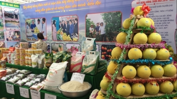 Hà Tĩnh xúc tiến thương mại tại thị trường các tỉnh phía Bắc