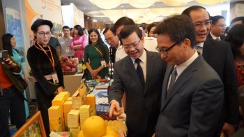 TP Hồ Chí Minh liên kết phát triển du lịch với các tỉnh Đông Bắc