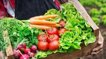 Giá rau củ quả hôm nay 22/11: Giảm từ 2.000 - 5.000 đồng/kg