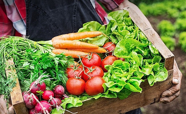 Giá rau củ quả hôm nay 22/11: Giảm từ 2.000 - 5.000 đồng/kg