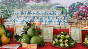 Tiếp tục đánh giá, gắn sao cho sản phẩm OCOP An Giang