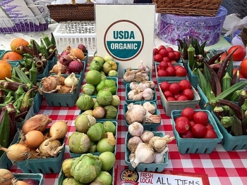 TP Hồ Chí Minh: Đưa Chợ phiên sản phẩm hữu cơ Việt Nam vào hoạt động