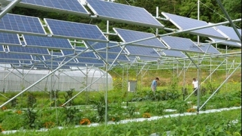 Ninh Thuận đẩy mạnh thu hút đầu tư vào nông nghiệp công nghệ cao