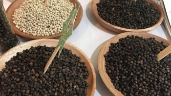 Giá hồ tiêu hôm nay 23/11: Chờ diễn biến mới