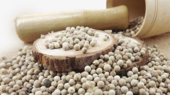 Giá hồ tiêu hôm nay 24/11: Tăng nhẹ tùy địa phương