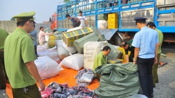 Hàng giả, hàng nhái: Xử lý 63.110 vụ việc vi phạm trong quý III