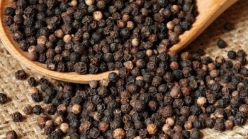 Giá hồ tiêu hôm nay 30/11: Đầu tuần tăng nhẹ