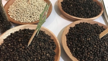 Giá hồ tiêu hôm nay 1/12: Cao nhất 59.000 đồng/kg