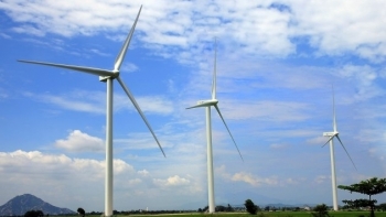 Thêm 5 dự án điện gió được Quảng Trị phê duyệt chủ trương đầu tư