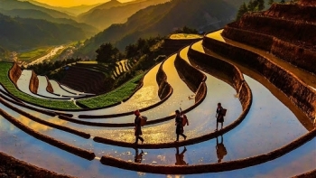 Hướng đi nào cho thương mại khu vực Trung du và miền núi phía Bắc?