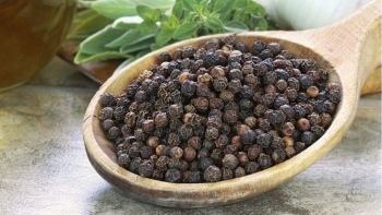 Giá hồ tiêu hôm nay 10/12: Khởi sắc