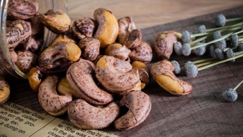 Xuất khẩu hạt điều sẽ tăng mạnh vào tháng cuối năm