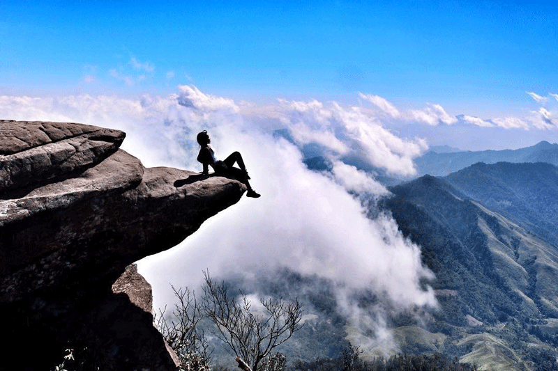 Du lịch mùa lạnh: Về Mộc Châu ngắm muôn hoa khoe sắc trên thảo nguyên