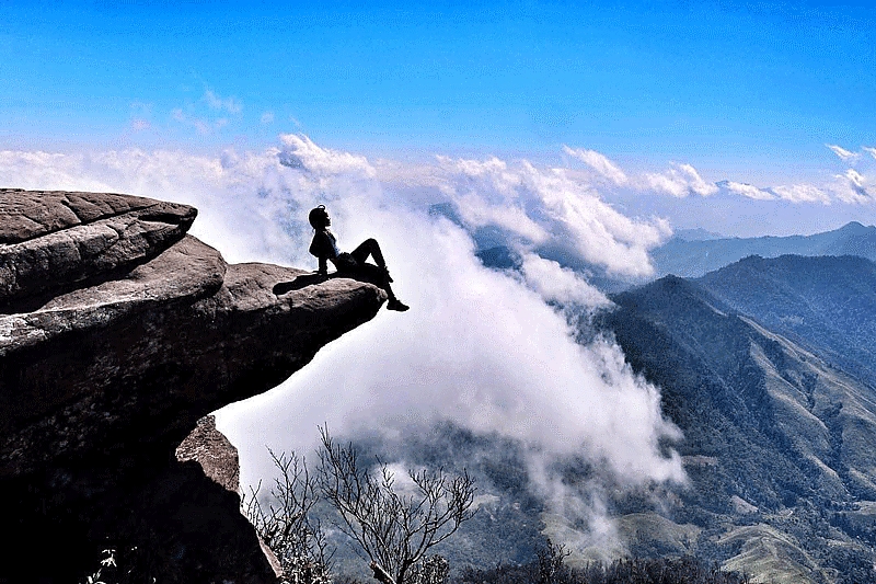 Du lịch mùa lạnh: Về Mộc Châu ngắm muôn hoa khoe sắc trên thảo nguyên