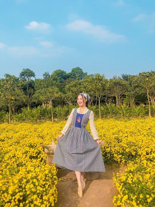 Du lịch mùa lạnh: Về Mộc Châu ngắm muôn hoa khoe sắc trên thảo nguyên