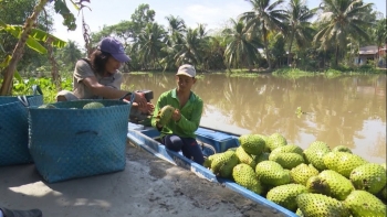 ĐBSCL: Phát triển du lịch gắn với sản phẩm OCOP