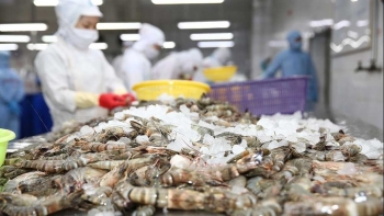 Sắp thí điểm chương trình truy xuất nguồn gốc sản phẩm thủy sản bằng điện tử