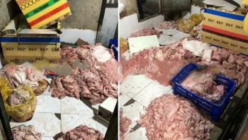 Hà Tĩnh tịch thu 3,6 tạ da, mỡ lợn không rõ nguồn gốc