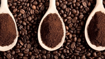 Giá cà phê hôm nay 20/12: Thấp hơn 33.000 đồng/kg