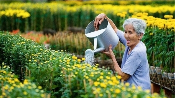 Thị trường hoa Tết 2021: Tiền Giang chuẩn bị cho thị trường lớn phía Nam