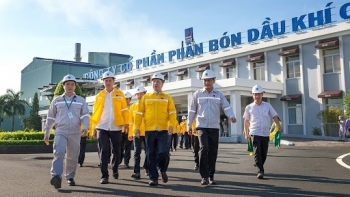 Công ty CP Phân bón Cà Mau dự kiến tỷ lệ chia cổ tức năm 2020 là 6%