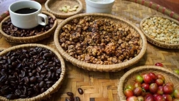 Giá cà phê hôm nay 24/12: Cao nhất còn 32.800 đồng/kg