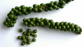 Giá hồ tiêu hôm nay 24/12: Giảm 1.000 đồng/kg