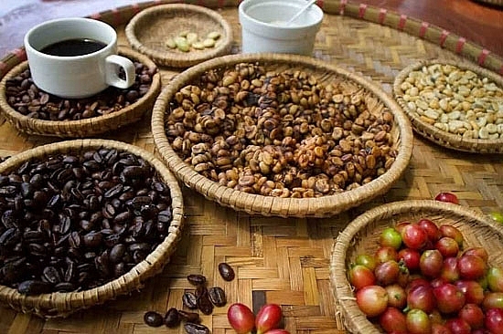 Giá cà phê hôm nay 24/12: Cao nhất còn 32.800 đồng/kg