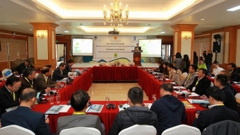 Gắn kết, phát triển rộng rãi Hoá học xanh