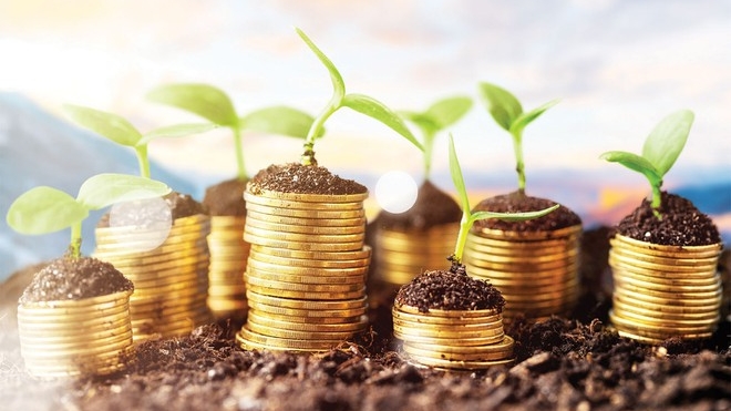 Việt Nam chỉ đáp ứng 2/6 tiêu chí bảo vệ người tiêu dùng tài chính