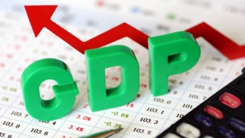 Năm 2020, tăng trưởng GDP Việt Nam đạt 2,91%