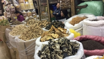 Gần Tết, loạt thực phẩm bắt đầu tăng giá