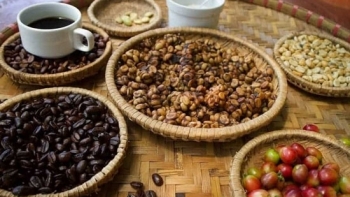 Giá cà phê hôm nay 30/12: Tăng thuận chiều thế giới