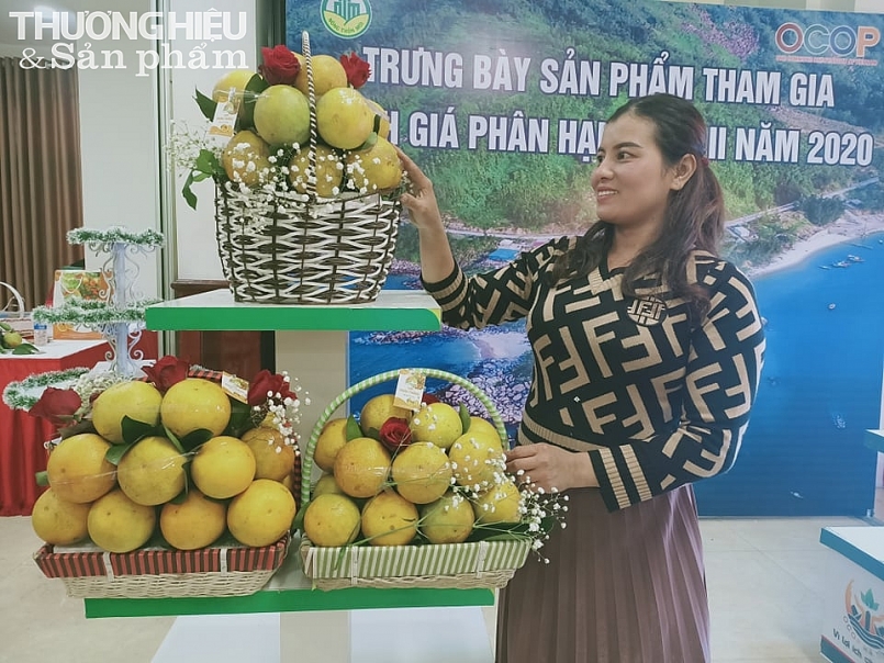 Hà Tĩnh: Có 70 sản phẩm tham gia đánh giá, phân hạng sản phẩm OCOP năm 2020 Hà Tĩnh: Có 70 sản phẩm tham gia đánh giá, phân hạng sản phẩm OCOP năm 2020