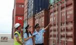 Tổng cục Hải quan kiểm tra doanh nghiệp xuất nhập khẩu có giao dịch bất thường