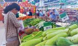 Hà Nội tăng gấp đôi chuỗi cung ứng nông sản an toàn
